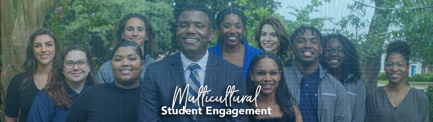 MSE banner