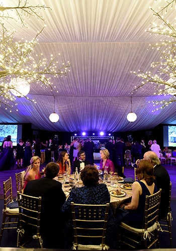 Photo from Past Gala Event