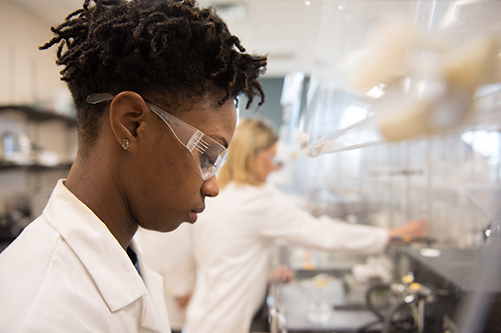 Student working in a laboratory