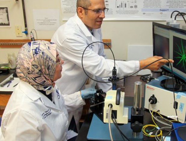 photo of Mohamed Al-Shabrawey, PhD