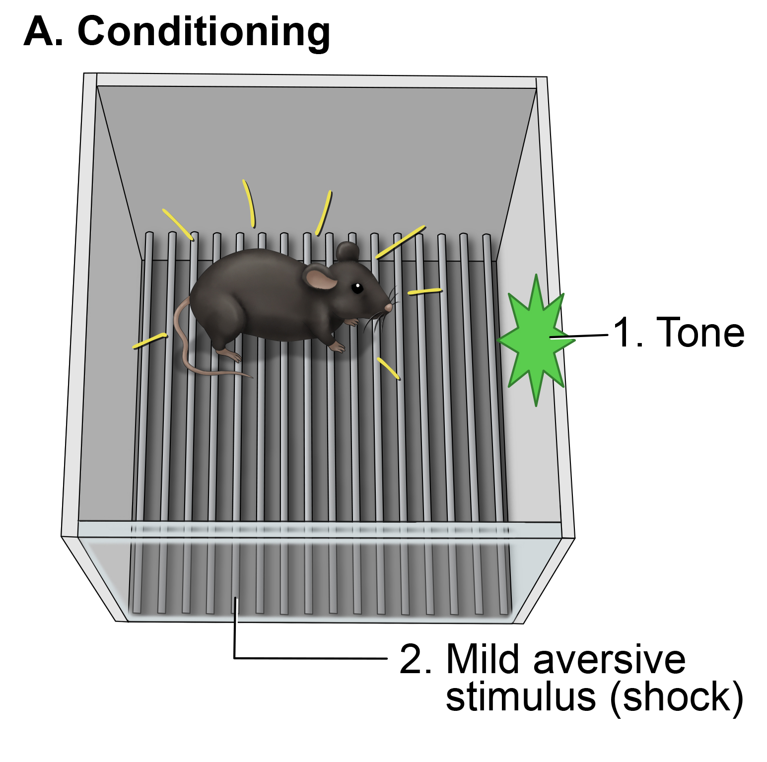 Mild aversive stimulus