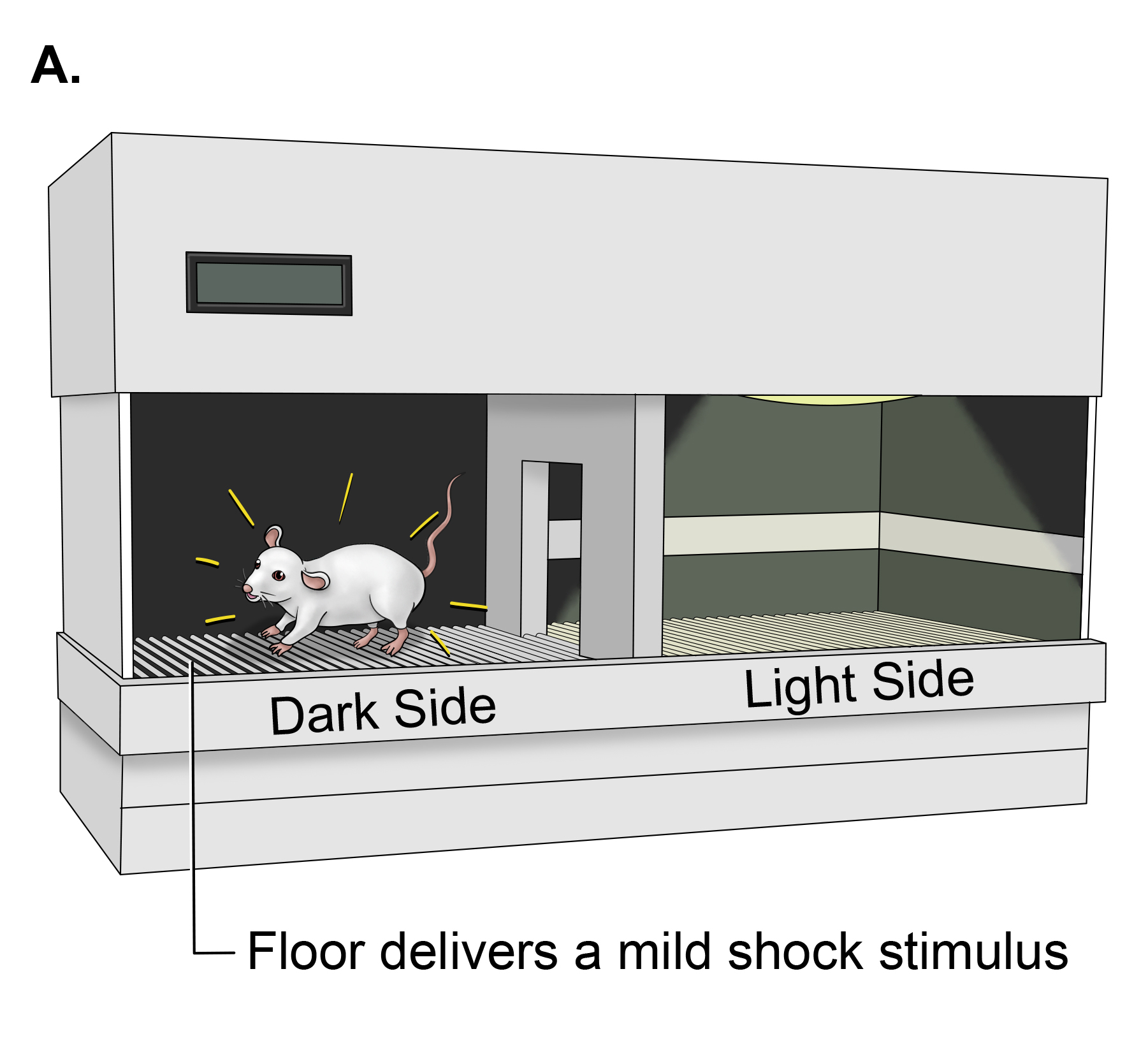 Passive Avoidance A