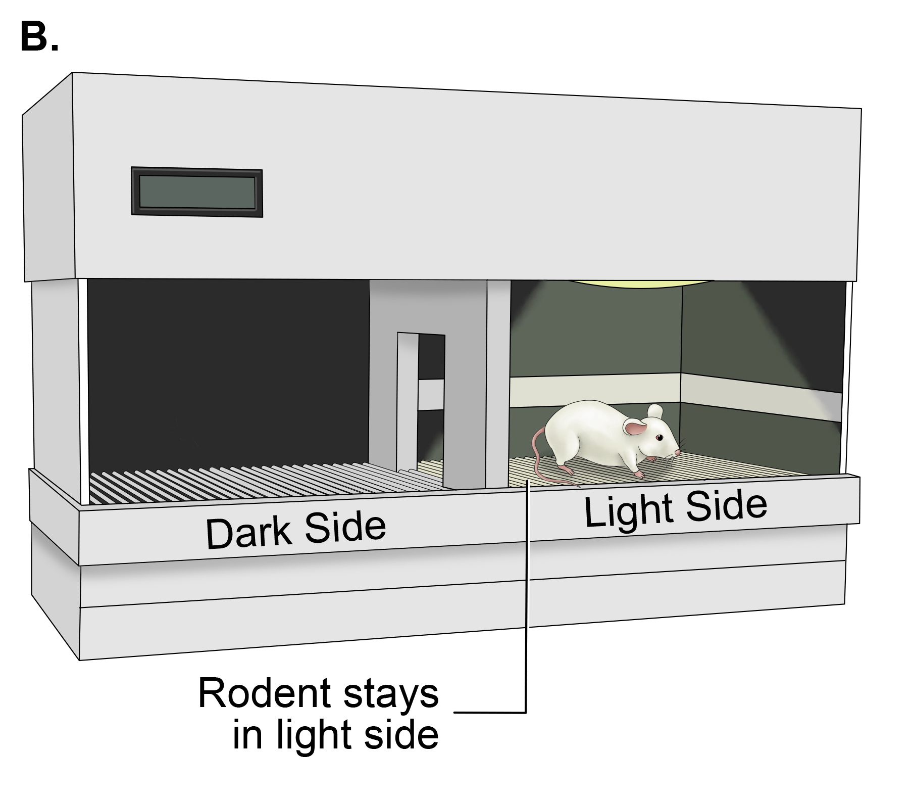 Passive avoidance B