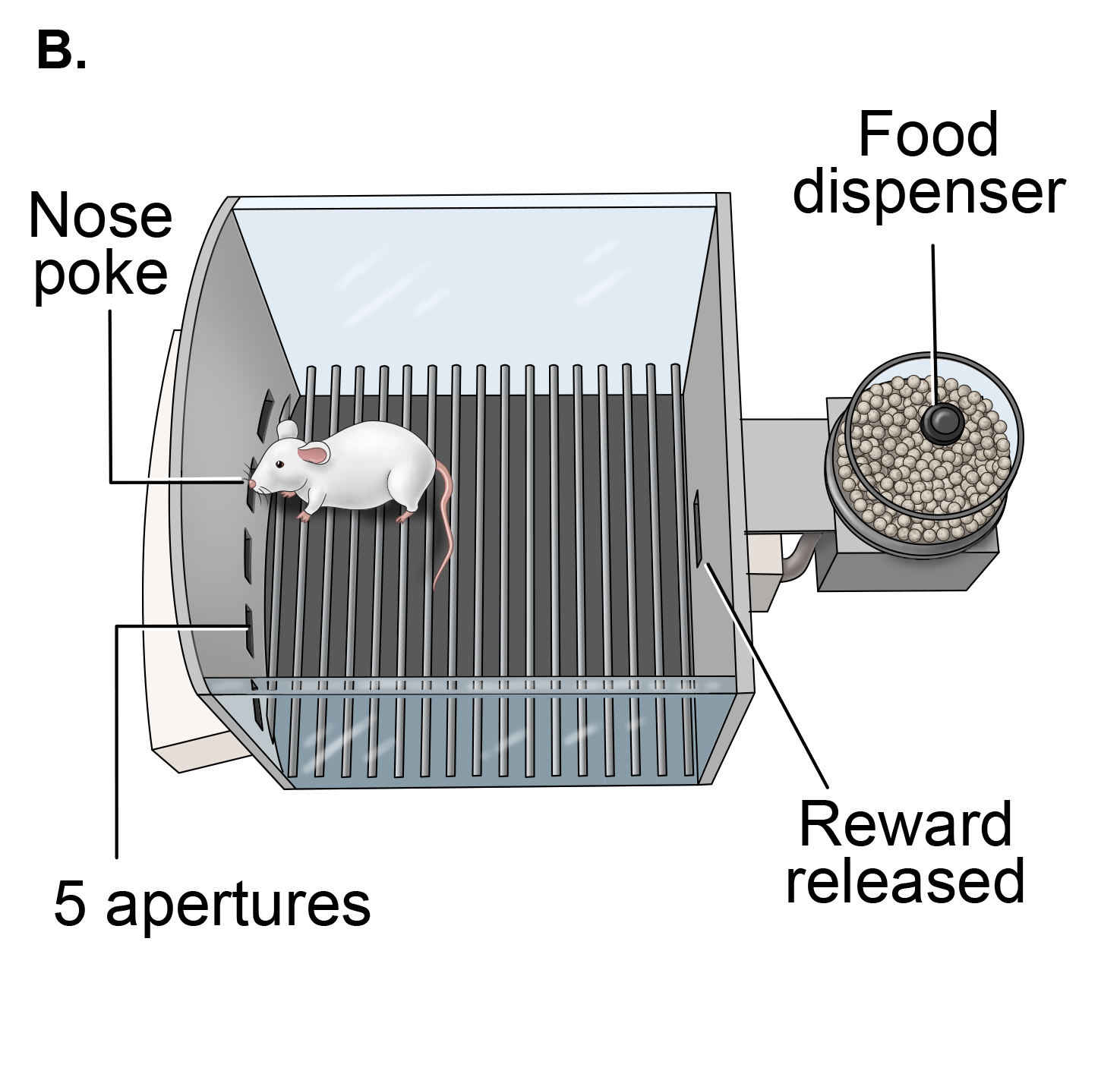 Reaction time B