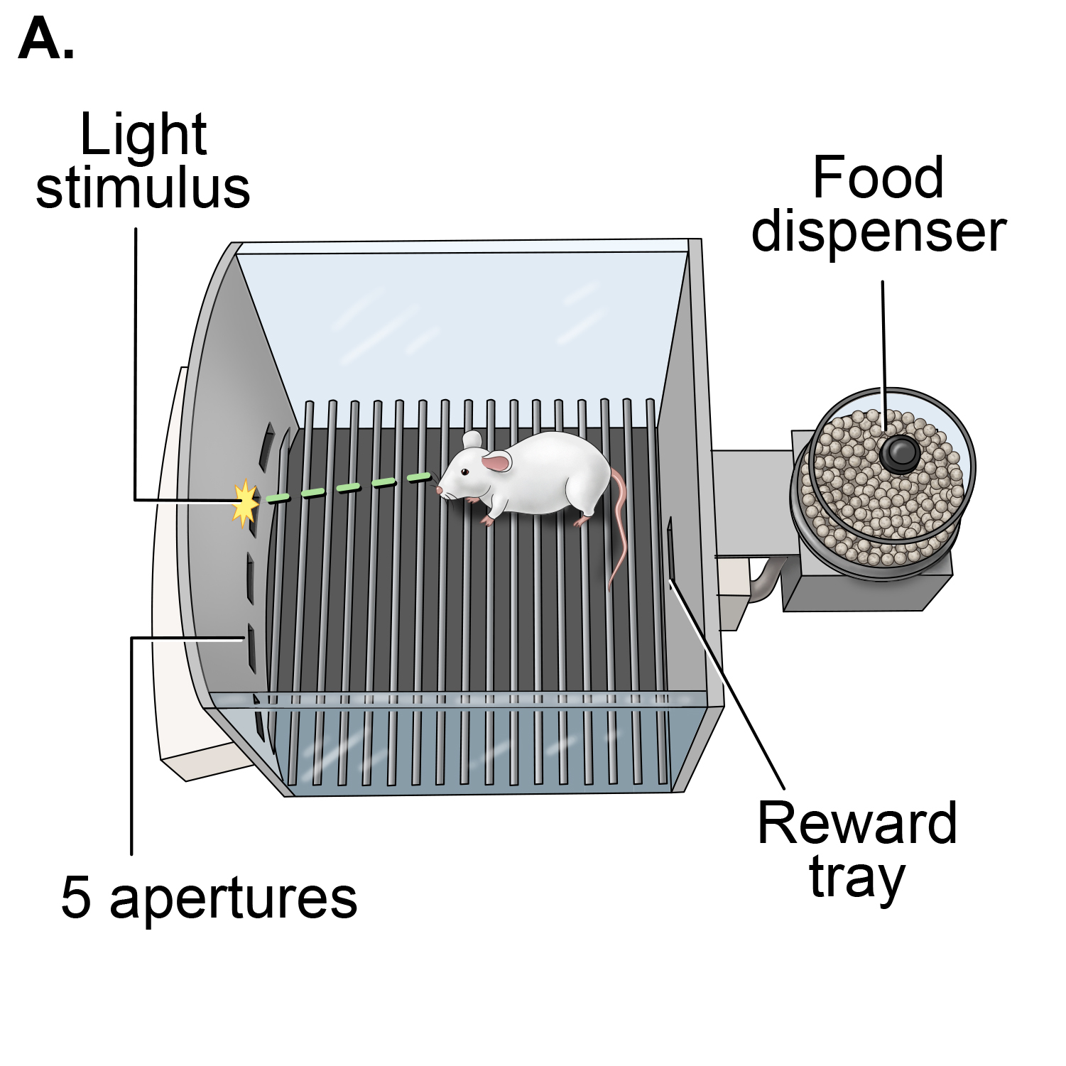 Reaction time A