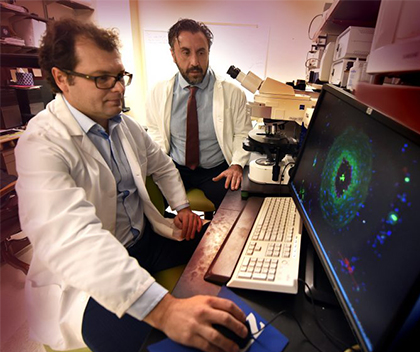 Researchers looking at a computer screen full of science