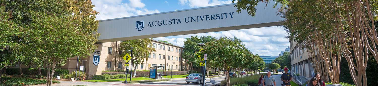 Skybridge over Laney Walker Boulevard on the Health Sciences Campus