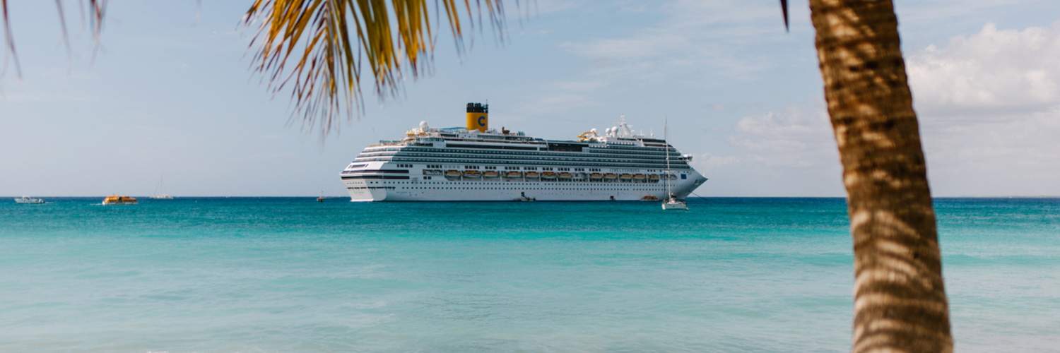 Cruise ship in the ocean as seen from a nearby shoreline